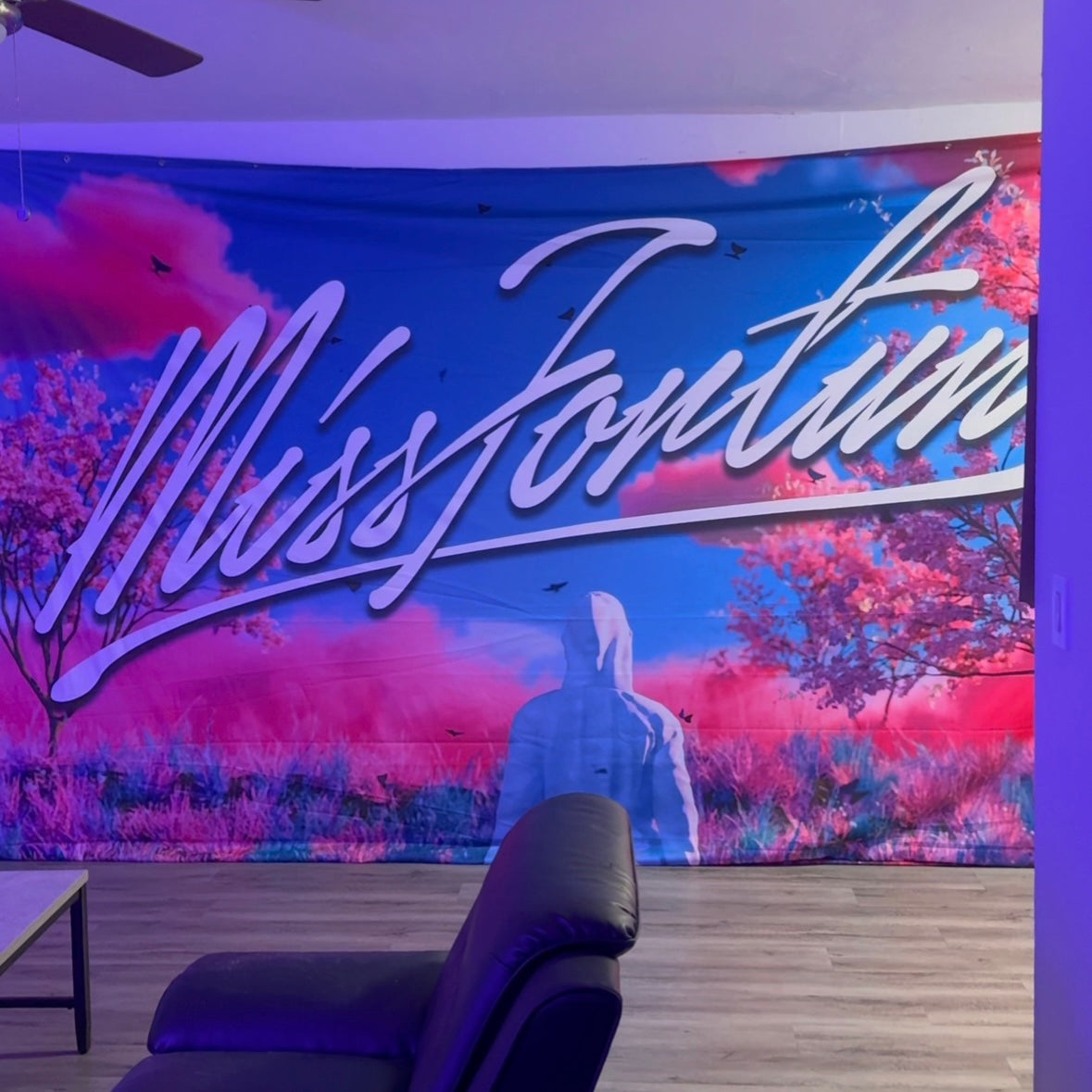 Tour Backdrop (Stage-Used “Gravity’s Rainbow” Era)