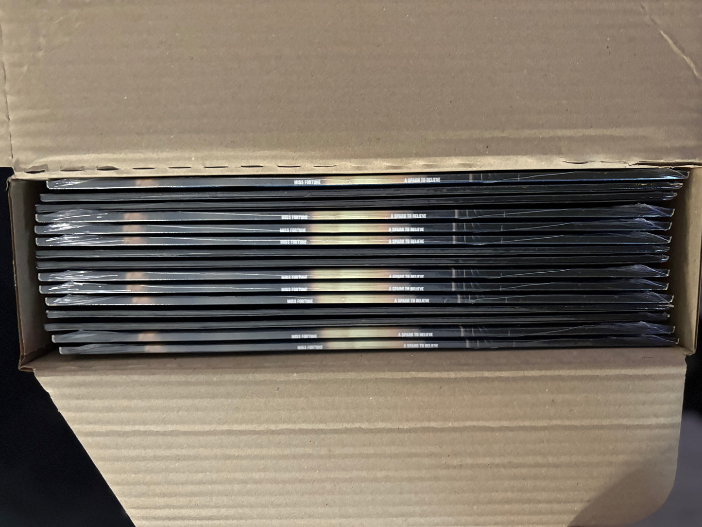 Factory-Sealed Archive Box (15x LPs) — “A Spark To Believe” [Storm Gray Variant]